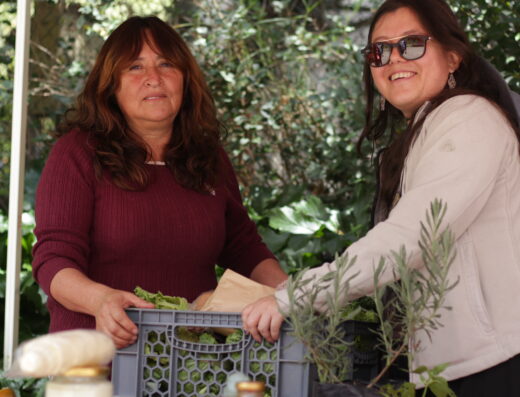 Feria Agroecológica Arte y Cultura La Carolina
