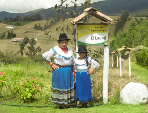 Parcela Agroecológica El Laurel