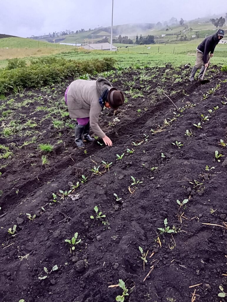 GRANJA AGROECOLOGICA LA PONDEROSA
