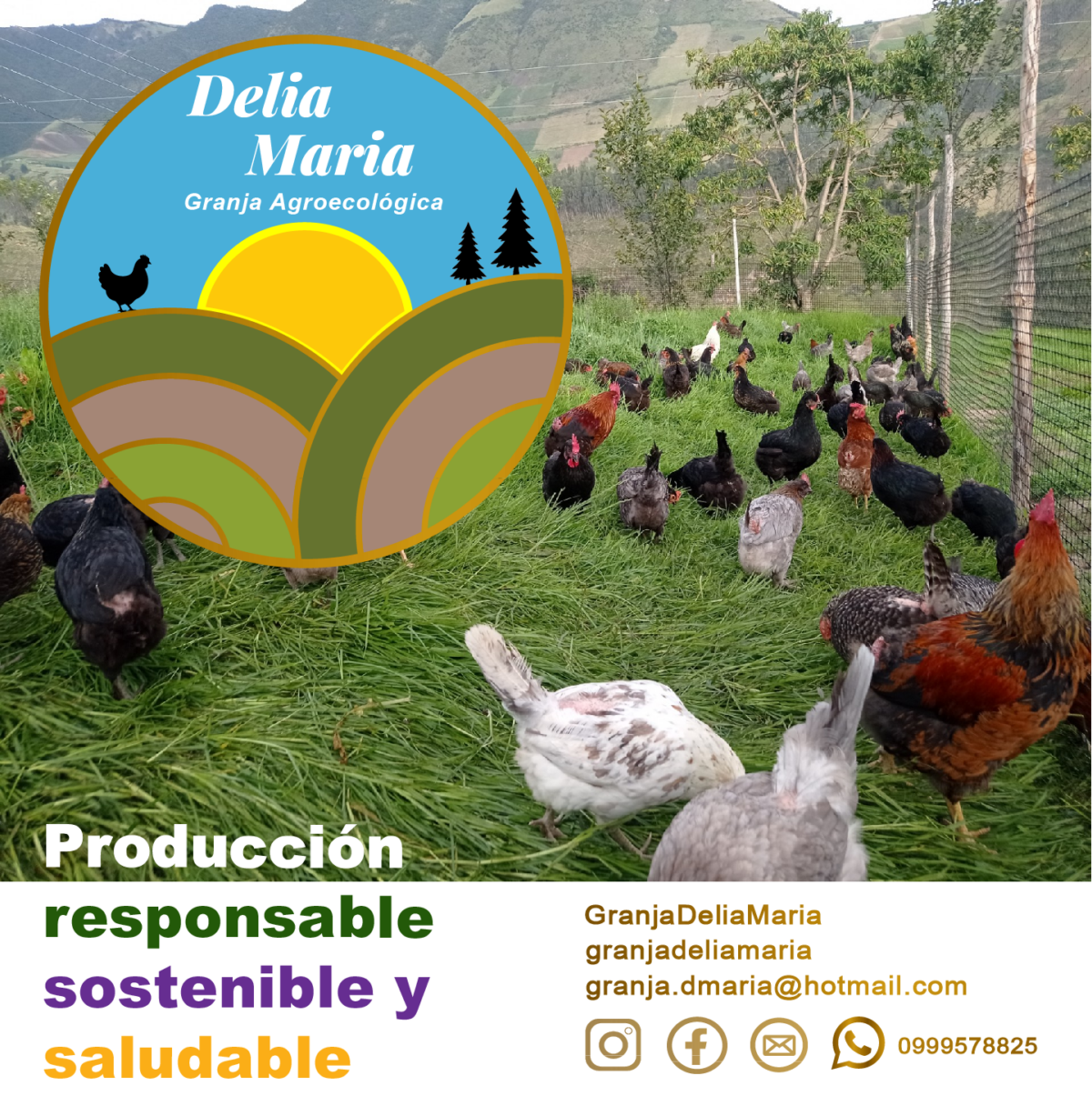 Granja Agroecológica Delia María