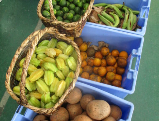 Tierra BellBaum y Agroturismo Rancho Mila