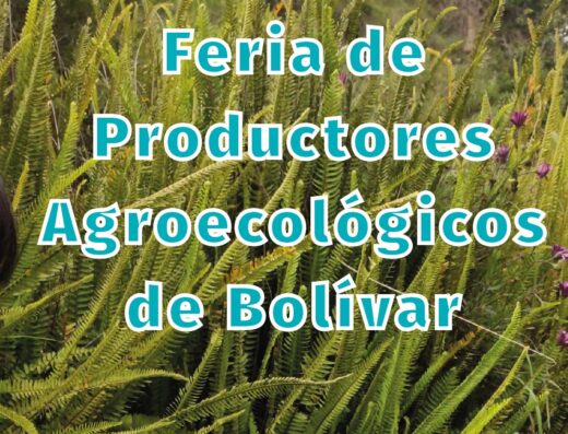 Feria de Productores Agroecológicos de Bolívar