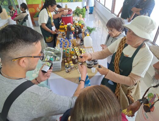 Feria Agroecológica Raíces y Cosechas del Chocó Andino
