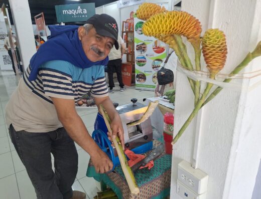 Feria Agroecológica Raíces y Cosechas del Chocó Andino